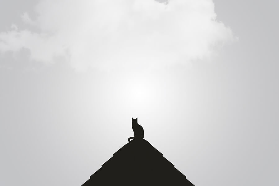 minimal blogger 11